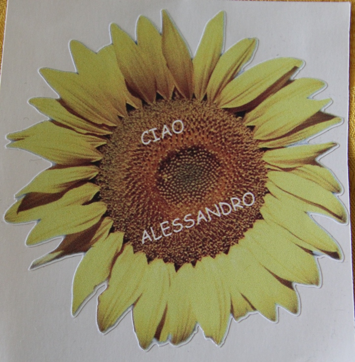 girasole alessandro 05 09 14