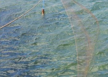Messina. Lago di Ganzirri: sequestrata una rete utilizzata per la pesca di frodo