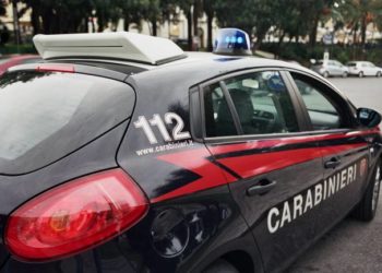 Messina. Ganzirri: sequestrati 800 kg di pesce in cattivo stato di conservazione