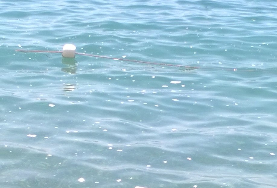 Mare sporco a Villagonia
