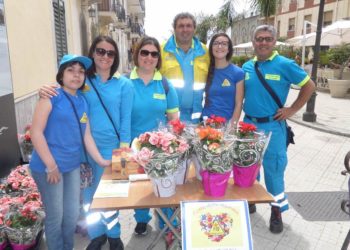 Letojanni. Misericordia “S. Giuseppe”: 400 begonie offerte in cambio di un contributo