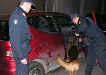 G7 Taormina. Arrivano “Athos” e “Aszkor”, due cani “carabinieri” di razza “Pastore Tedesco” specializzati nella ricerca di armi e materiale esplosivo