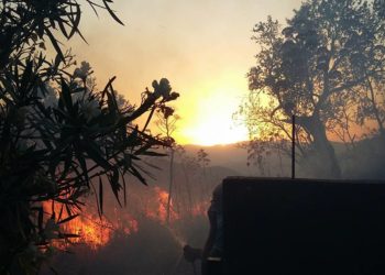 Incendio nelle contrade di Castelmola: lettera di Gabriella Gullotta