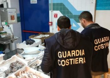 Taormina e Giardini. Operazione “Dirty market” della Guardia Costiera: 30 kg di pesce sequestrato. Sanzioni amministrative per 8.000 euro