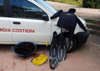 Taormina. Pesca di frodo, oltre 200 ricci sequestrati dalla Guardia costiera all’Isolabella