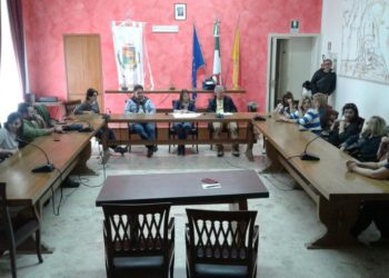 Letojanni. Avviato il progetto per la tutela dei gatti randagi