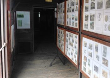 Circolo Filatelico Peloritano. Annullo postale speciale e un nuovo francobollo per ricordare Quasimodo a Roccalumera e a Messina