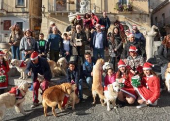 Taormina. Passeggiata natalizia con i Golden Retriever