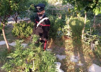 Taormina e Giardini. Tre arresti dei carabinieri per traffico di droga, rapina ed estorsione