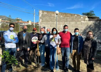 Taormina. “Alberi per il futuro”: iniziativa del Movimento 5 Stelle