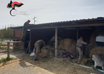 Due arresti dei carabinieri di Taormina per droga