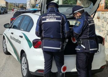 Taormina. Cane in precarie condizioni di salute: deferito un 36enne
