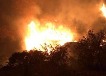 Prevenzione incendi a Taormina. Gullotta: “Impossibile pulire i terreni delle contrade entro il 30 aprile”