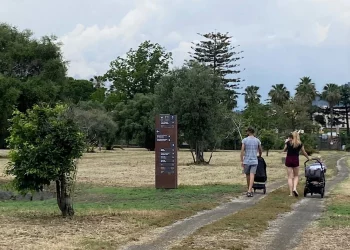 Giardini. Museo e Area archeologica di Naxos verso un futuro senza barriere