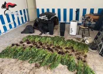 Giardini. Intervengono per un incendio e nell’abitazione trovano una serra per la coltivazione di marijuana: i Cc arrestano un 24enne