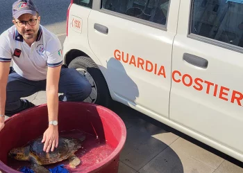 Giardini. Salvata una tartaruga “Caretta Caretta” ritrovata in mare aggrovigliata in una lenza