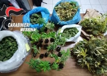 Letojanni. Abitazione sul lungomare adibita a serra per la coltivazione di cannabis: una 38enne e un 19enne arrestati dai Cc