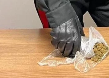 Letojanni. Scoperto con oltre 30 grammi di marijuana: pusher 26enne arrestato dai Cc