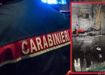 I Cc di Taormina arrestano un 61enne per droga a Francavilla. Sequestrata serra artigianale con due piante di cannabis