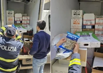 A18. La Polstrada denuncia 59enne cinese: trasportava 624 kg di cibo in cattivo stato di conservazione
