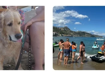 Giardini. Inclusione e mare: il Mykonos beach di Marco Calì ospita la Scuola per cani-guida “Helen Keller” di Messina