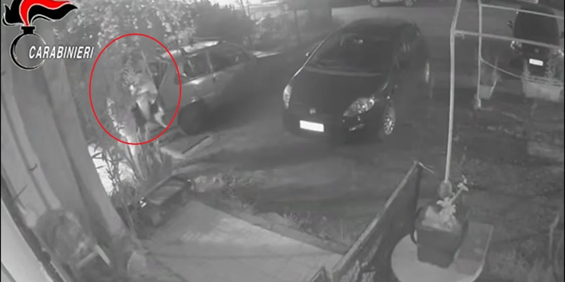 Taormina. Omicidio di Giuseppe Florio a Trappitello: tre persone fermate dai carabinieri